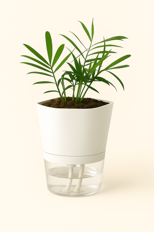 Automatic watering flower pot 